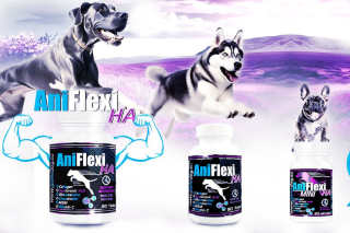 fitkutya.hu