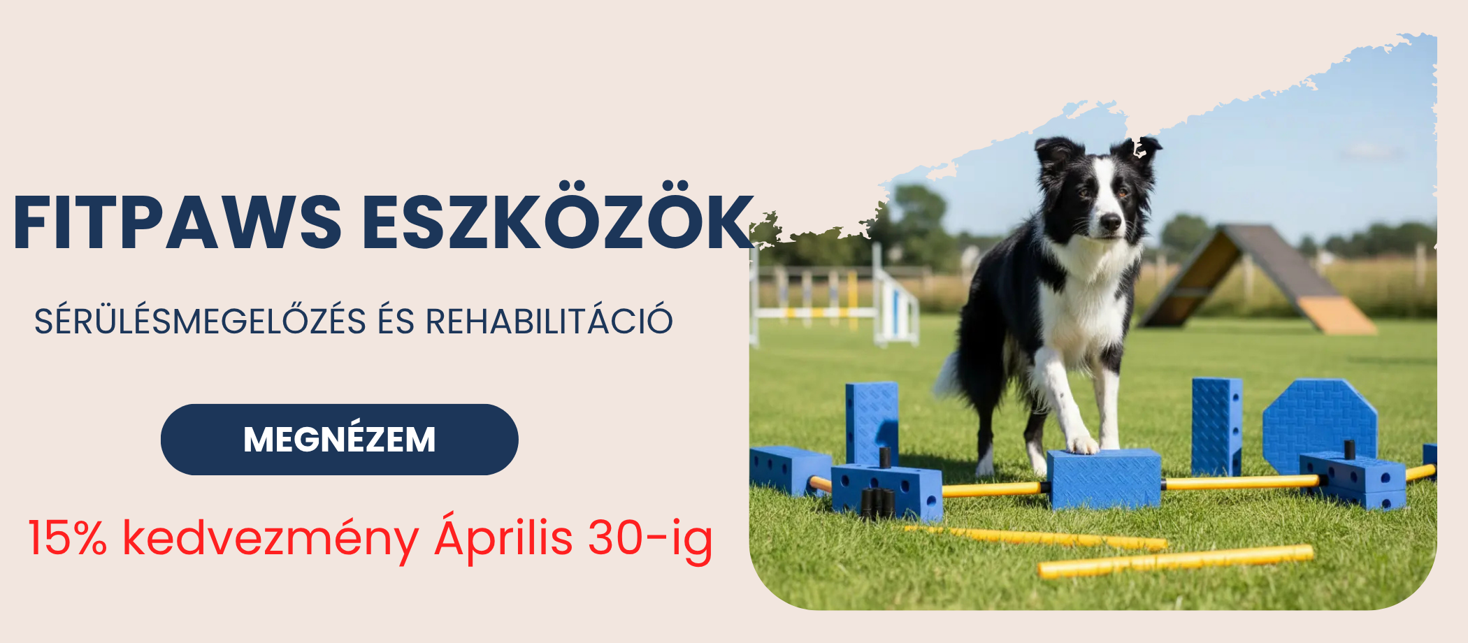 fitkutya.hu