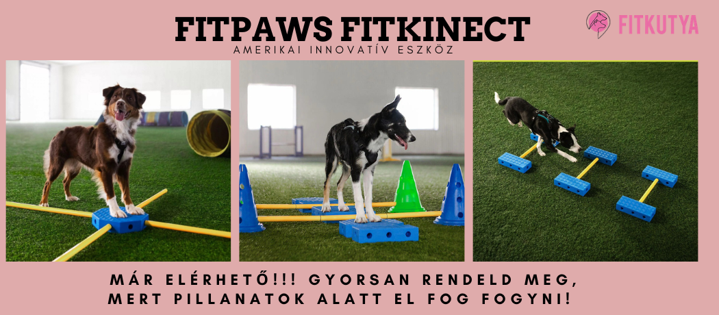 fitkutya.hu