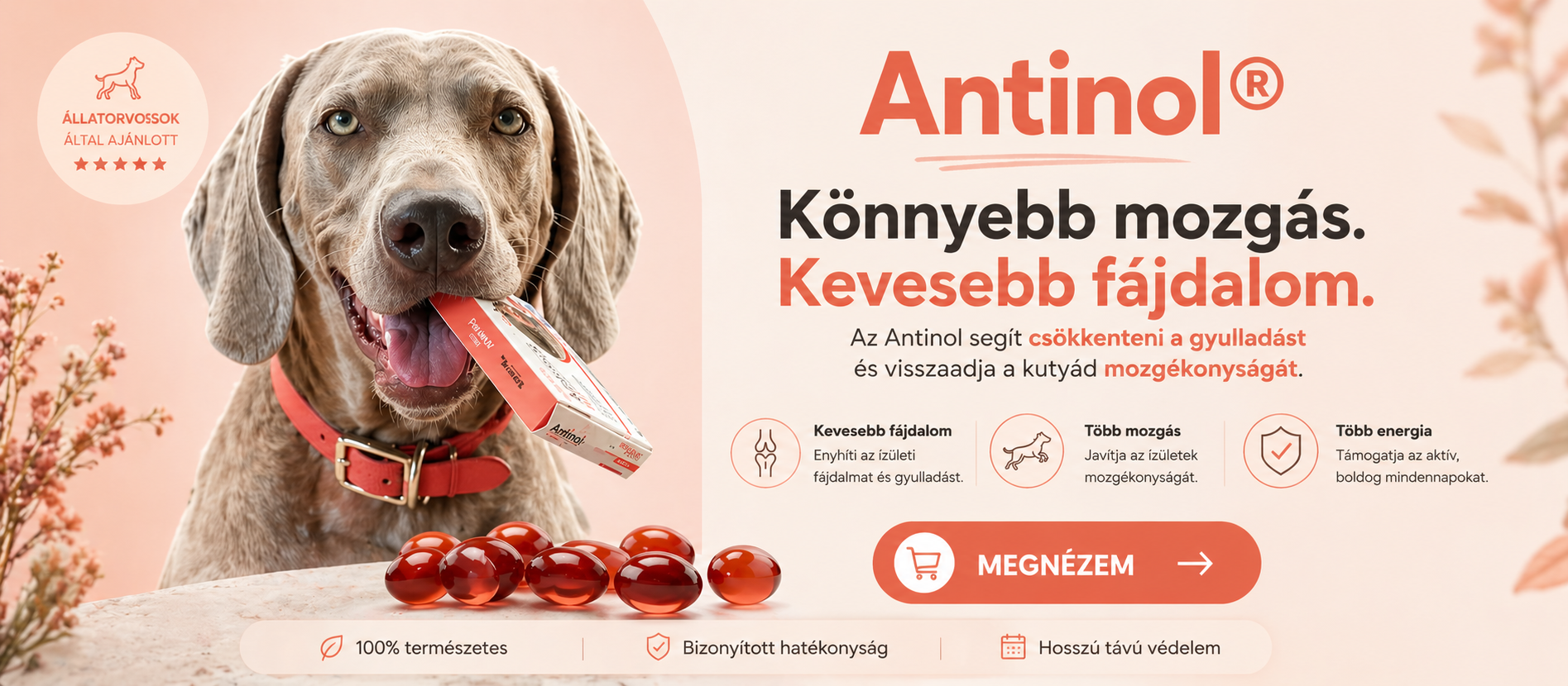 fitkutya.hu