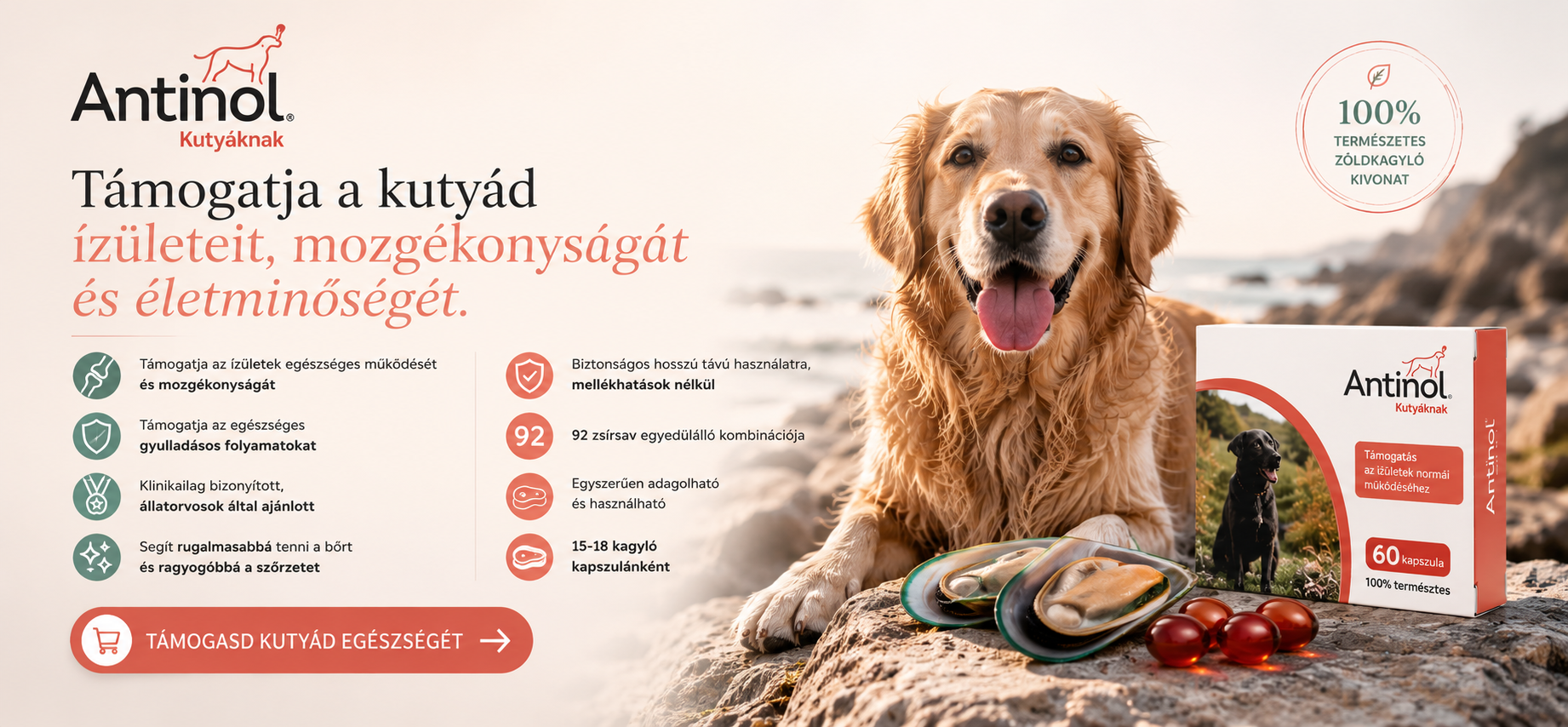 fitkutya.hu