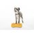 FitPAWS® Fitbone mini narancs 2 db