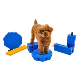 FITPAWS KINECT Core Kit 