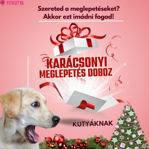 Karácsonyi meglepetés doboz -  LIMITÁLT / Egyedi 