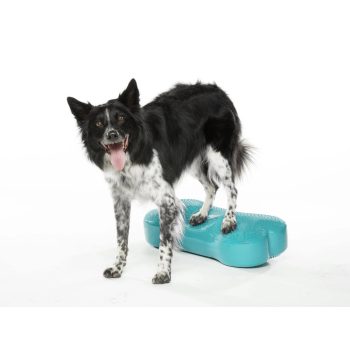 FitPAWS ® K9 Fitbone aqua szín