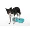 FitPAWS ® K9 Fitbone aqua szín