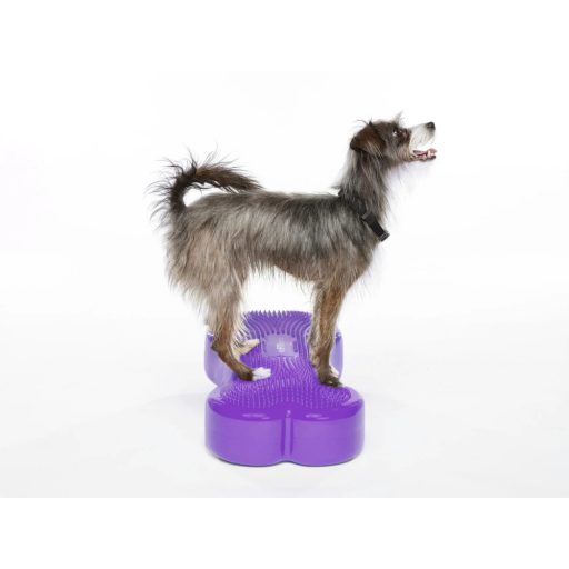 FitPAWS ® K9 Fitbone aqua szín