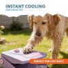 CoolPets Splash pedálos  ivó- és szökőkút kutyának COOLPETS lila
