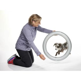 FitPAWS ® Donut Holder 