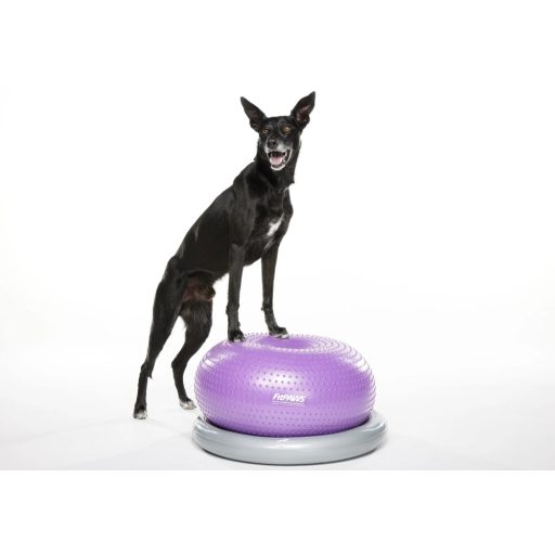 FitPAWS ® Donut Holder 