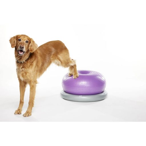 FitPAWS ® Donut Holder 