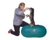  FitPAWS Balance TRAX ™ Peanut - 60 cm aqua mogyoró alakú fiziós eszköz kutyáknak