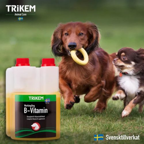 B vitamin  kutyáknak TRIKEM 500 ml 