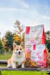 Pokusa Borjúhús Lazaccal hipoallergén kölyök táp – ízületvédő glükozaminnal és kondroitinnal 1 kg 