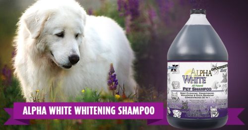 DOUBLE K Alpha White fehérítő  sampon 473 ml 