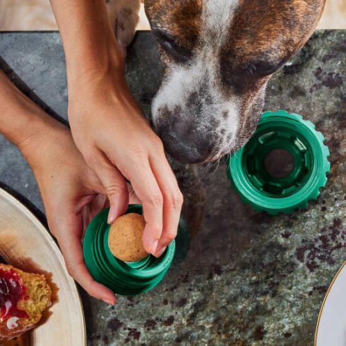 Woof Pupsicle amerikai  tölthető logikai játék zöld  (S)