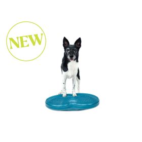 FitPaws Duo Disc 