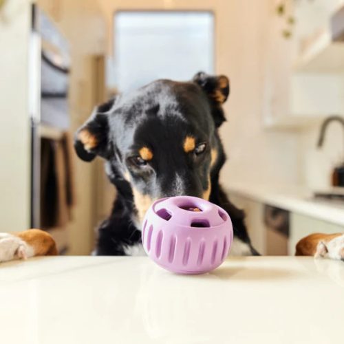 Woof Pupsicle amerikai tölthető logikai játék (S) levendula