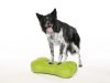 FitPAWS ® K9 Fitbone zöld