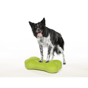 FitPAWS ® K9 Fitbone zöld