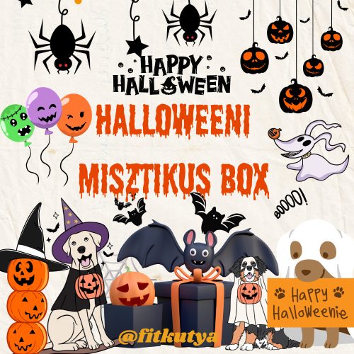 Halloweeni box kutyáknak - rendelj ha mersz