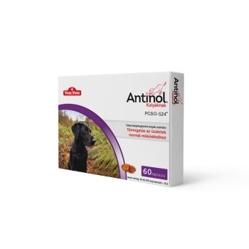    Antinol ® porcvédő, ízületvédő zöldkagyló kutyáknak 60 db