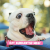 Coolpets Fresh 2GO itató kulacs 500 ml