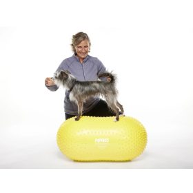    FitPAWS  TRAX Peanut - 40 cm mogyoró alakú fiziós eszköz kutyáknak