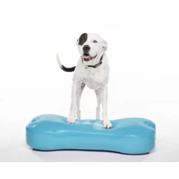 FitPAWS ® K9 Fitbone GIANT aqua 