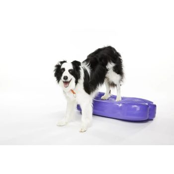FitPAWS ® K9 Fitbone GIANT lila 