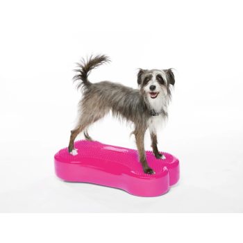 FitPAWS ® K9 Fitbone razzleberry