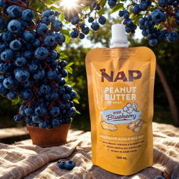 NAP Mogyoróvaj - áfonyával 120ml