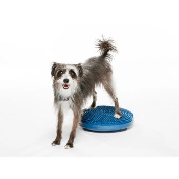   FitPAWS balance disc ,  egyensúlyozó párna fizioterápiára és mozgásfejlesztésre 46 cm KÉK