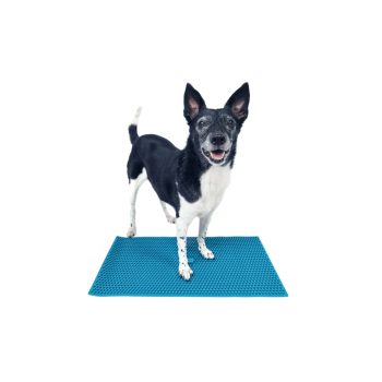 FitPaws K9 FitMat 