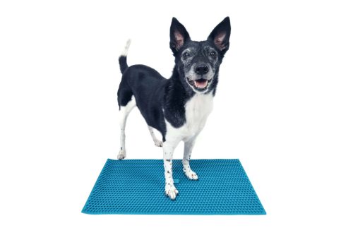 FitPaws K9 FitMat 