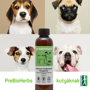   Természetes élőflórás probiotikum kutyáknak 250 ml, Greenman