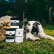  Pokusa DiamondCoat Deep Color - sötét szőrpigment regeneráló 300g 