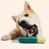 Woof - BullySafe rágórúd tartó kutyáknak  