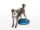 FitPAWS ® egyensúlyozó párna - balance disc  kék 36 cm 