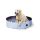 CoolPets medence (S) 80 cm * 20 cm 