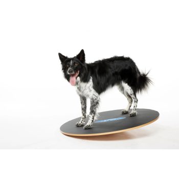   Wobble Board  egyensúlyozó fizioterápiás eszköz kutyáknak 50 cm 
