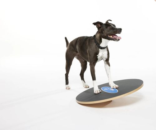 Wobble Board  billenő deszka kutyáknak 50 cm 