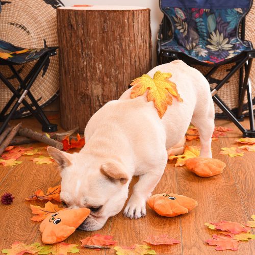 HugSmart Autumn Tailz – Leaf Bag 