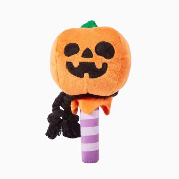 Pumpkin Lollipop  