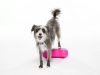 FitPAWS ® Fitbone mini magenta 2 db / csomag