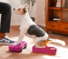 FitPAWS ® Fitbone mini magenta 2 db / csomag