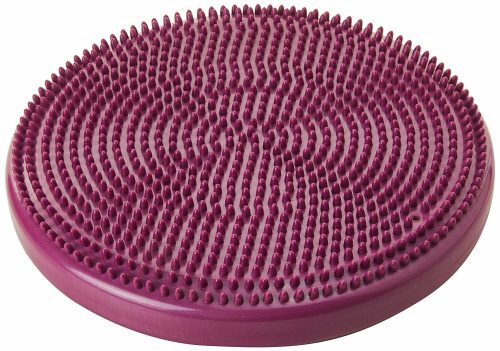 FitPAWS balance disc ,  egyensúlyozó párna fizioterápiára és mozgásfejlesztésre 46 cm 