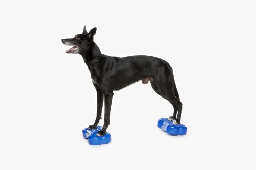 FitPAWS ®  Fitbone mini kék 2 db