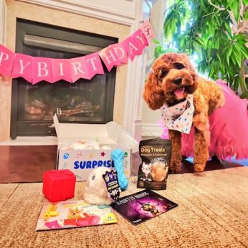 Születésnapi csomag (S-M)