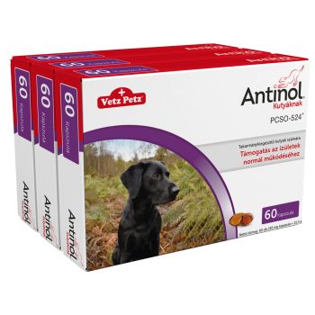    Antinol ® porcvédő ,  ízületvédő zöldkagyló kutyáknak  3 x 60 db 
